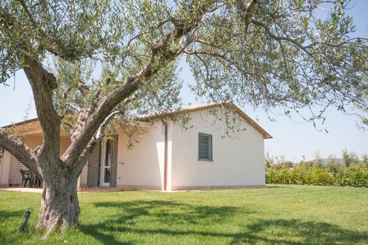 Agriturismo Il Mirto Pescia Romana Exteriér fotografie
