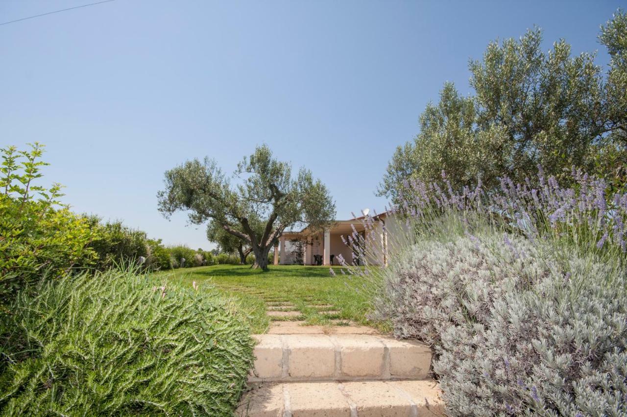 Agriturismo Il Mirto Pescia Romana Exteriér fotografie